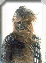Chewbacca - Wanted