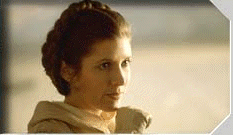 Leia Organa Solo - Wanted