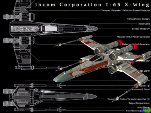 20000130xwwall1a800x600